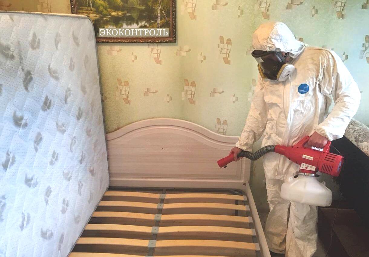 Дезинсекция клопов в квартире
