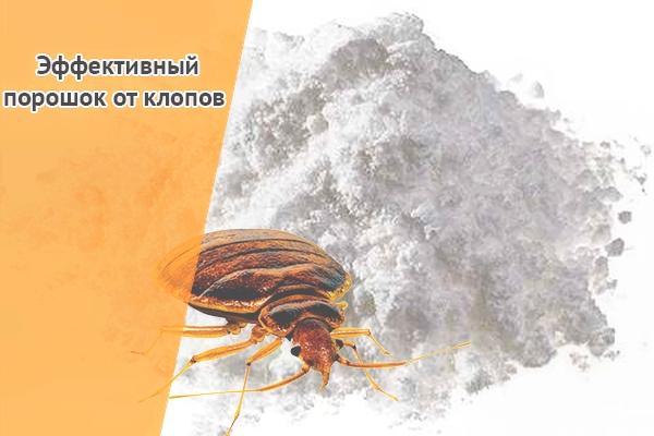 диамант от клопов