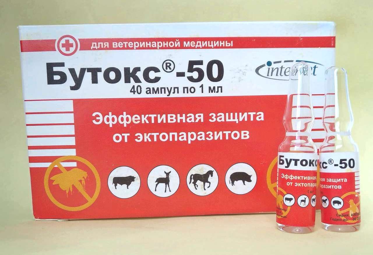 бутокс от пауков